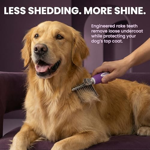 Poodle Dematting Fur Rake Comb Brush for Dogs and Cats - Long 2.5" Steel Safety Blades Metal Comb for Detangling Matted or Knotted Undercoat Hair