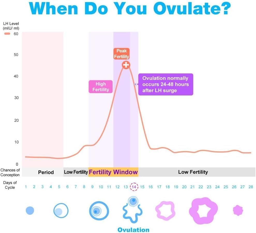 Easy@Home Ovulation Predictor Kit, 50 LH Test Strips with 50 Urine Cups