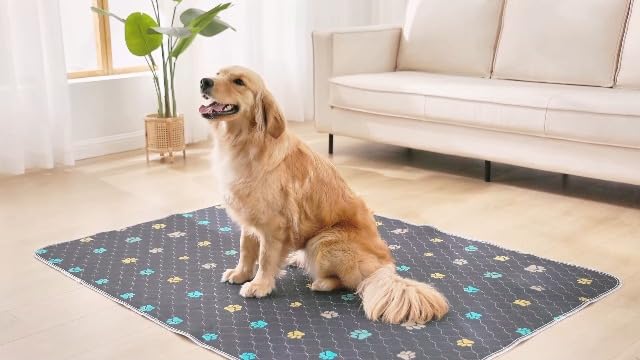 Aitmexcn Washable Pee Pads for Dogs, 2 Pack Reusable Puppy Pads, 24''x36'' | Super Absorbent, Leakproof, Machine Washable, Non-Slip Bottom, For Puppy Training, Crates and Small Floor Areas