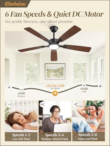 Fanbulous 52 Inch Ceiling Fans with Lights, Black, Remote & APP Control