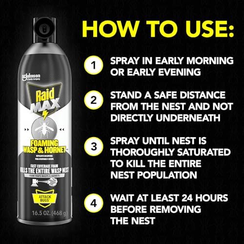 Raid MAX Foaming Wasp & Hornet Killer Bug Spray, 16.5 oz