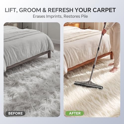 Walensee Carpet Rake, 2-in-1 Nylon Carpet Brush & Pet Hair Rake