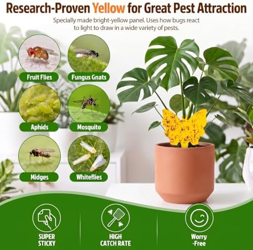 40 Pack Fungus Gnat Traps, Yellow Sticky Fruit Fly Traps for Indoor Plants