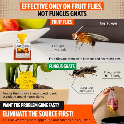 Super Ninja Fruit Fly Traps for Indoors, 4 Pack