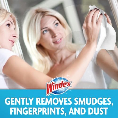 Windex Glass and Window Cleaner Wipes, Portable Cleaning, 38 Count