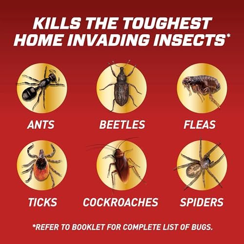 Ortho Home Defense Insect Killer for Indoor & Perimeter Refill2, 1 gal.