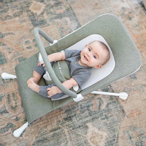 Baby Delight Highland Baby Bouncer, Sage Tweed