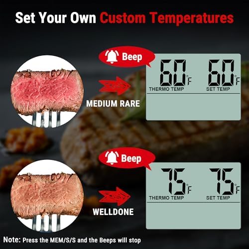 TempPro TempTrack Large LCD Digital Meat Thermometer for Cooking