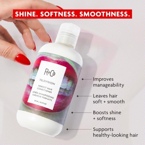 R+Co TELEVISION Perfect Hair Conditioner