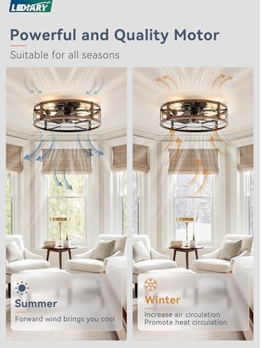 LEDIARY 20" Caged Low Profile Ceiling Fan with Light and Remote Black Gold