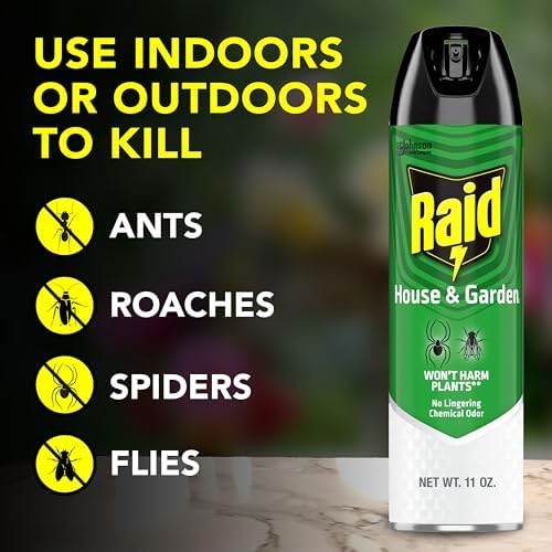 Raid House & Garden Insect Killer Bug Spray, Orange Breeze, 11 oz