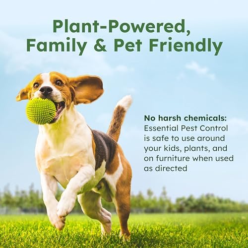 BugMD Pest Control Essential Oil Concentrate