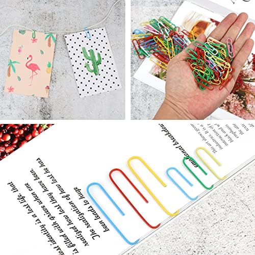 300 Pcs Binder Clips, Rubber Bands, Office Set, Paper Clips, School & Teacher Supplies for Office Desk Essentials (Assorted Sizes)