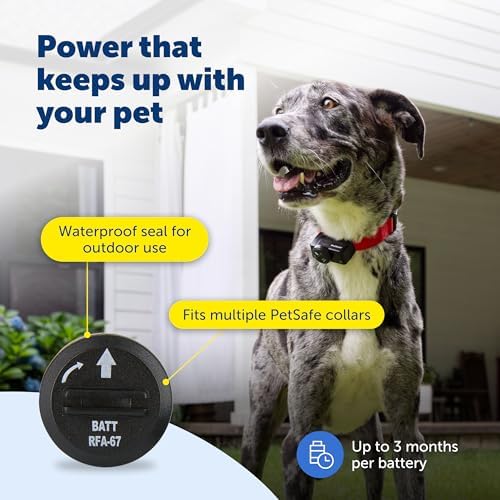 PetSafe RFA-67 6V Replacement Battery, 6-Pack | Genuine RFA-67 6V Lithium Batteries, Each Lasts 1-3 Months