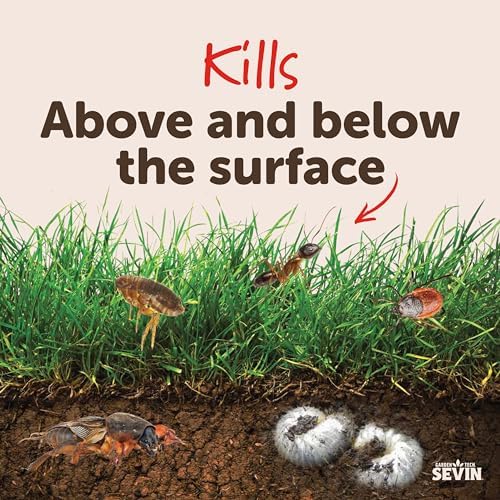 Sevin Insect Killer Granules II, 10 Pound