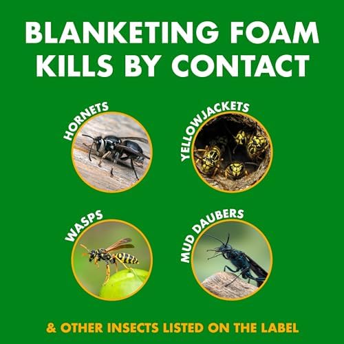 Spectracide Foaming Wasp & Hornet Killer 14 Oz, Kills by Contact
