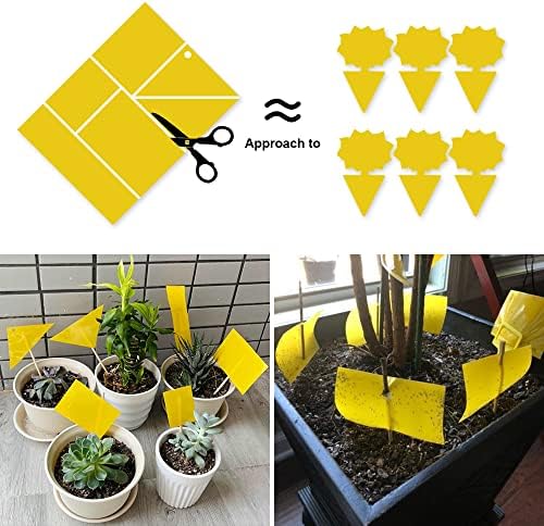 Kensizer 20-Pack Fruit Fly Trap, Yellow Sticky Gnat Traps, 6x8 in