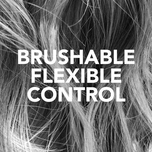Sebastian Professional Shaper Hairspray, 50 VOC% | Flexible to Medium Hold | Brushable with Control | Packaging May Vary