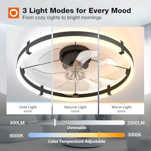 addlon 24" Low Profile Fandelier Ceiling Fans with Lights and Remote, Black