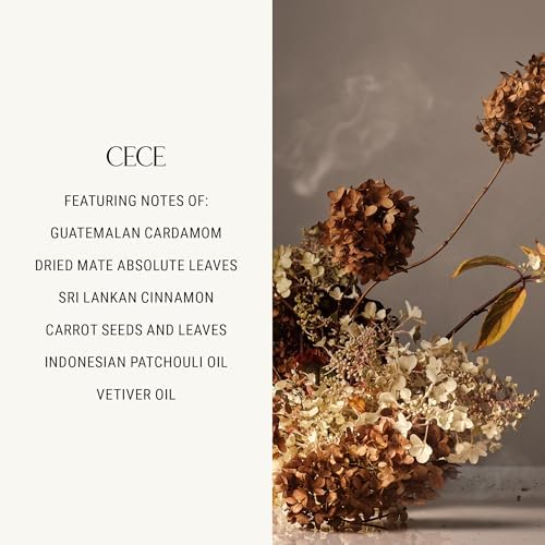 Homecourt by Courteney Cox Surface Cleaner, Cece, 16 fl oz