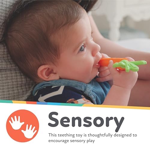 Nuby Silicone Carrot Hollow Teether Tube