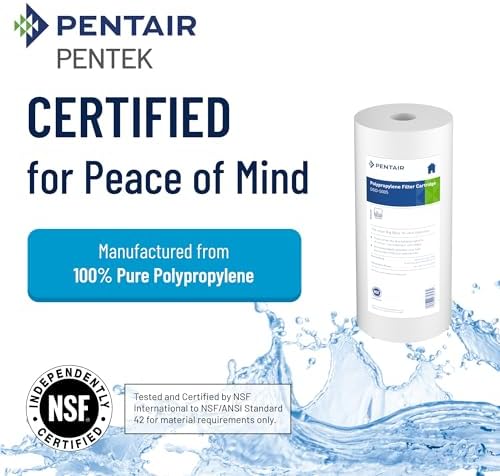 Pentair Pentek DGD-5005 Big Blue Whole House Sediment Filter