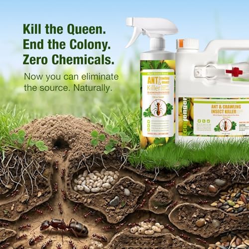 EcoVenger® Ant and Insect Killer 16 oz | Citrus Scent | Fast Kills House Ants Fire Ants | Residual Deterrence | Plant-Based Child and Pet Safe