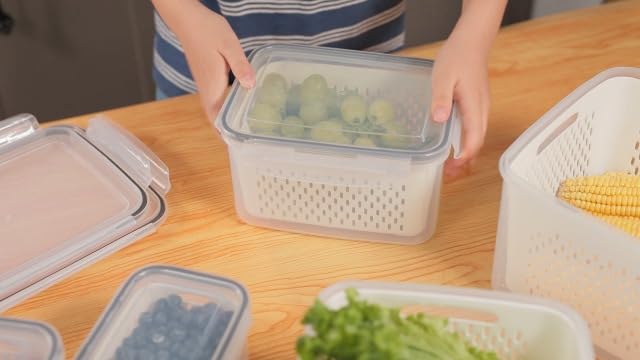 5 PCS Large Fruit storage Containers for Fridge ,Food Storage Containers