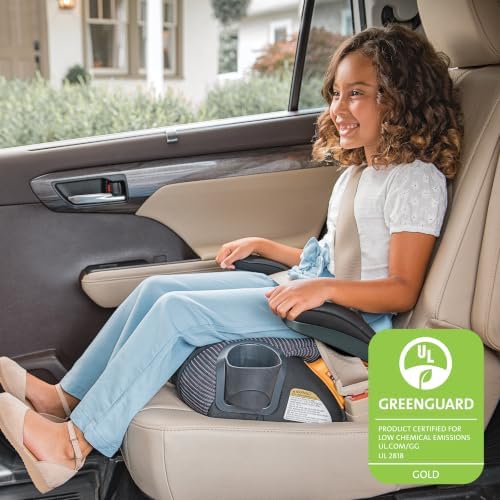 Chicco GoFit ClearTex Plus Backless Booster Car Seat, Latch, 40-110 lbs