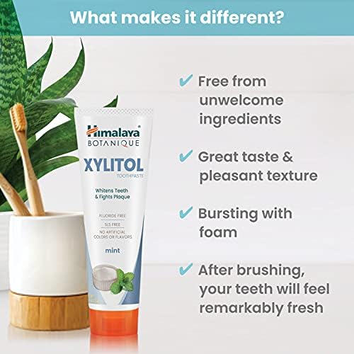 Himalaya Botanique Xylitol Fluoride-Free Toothpaste, Mint Flavor, 4 oz