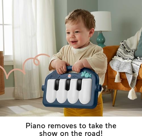 Fisher-Price Kick & Play Piano Gym, Navy Fawn