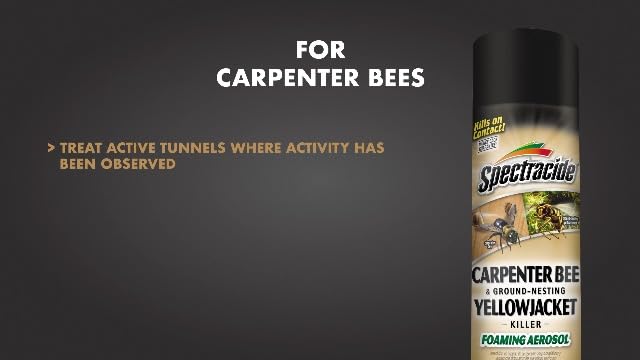 Spectracide Carpenter Bee & Gound-Nesting Yellowjacket Killer 16 Oz, 3 Pack