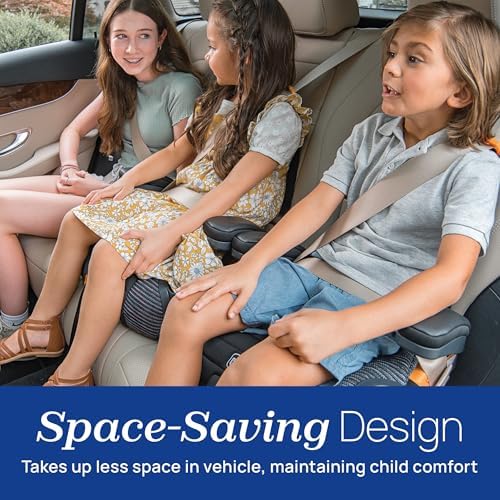 Chicco GoFit ClearTex Plus Backless Booster Car Seat, Latch, 40-110 lbs