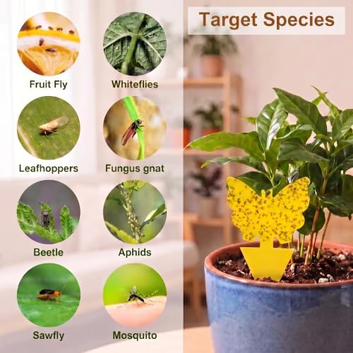 Yellow Sticky Fruit Fly Trap 54 Pack, Gnat Traps for Indoor House Plants
