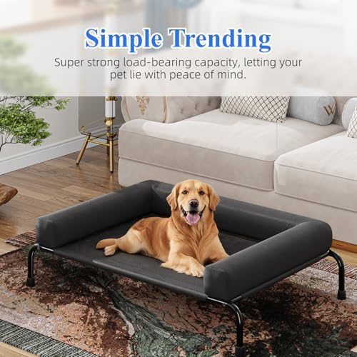 Simple Trending Elevated Dog Bed for Large Dogs with Bolsters, Black