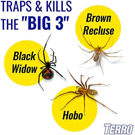 TERRO Spider & Insect Trap, 10-Pack Sticky Glue Traps