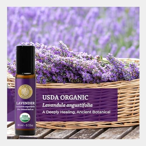 Silk Road Organic Lavender Essential Oil Calming Roll-On, USDA Certified