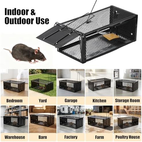 2 Pack Humane Rat Traps 12.5"x5.5"x4.5", Reusable Mouse Traps for Indoor/Outdoor Use, No-Kill Live Capture for Chipmunks, Rats, Mice