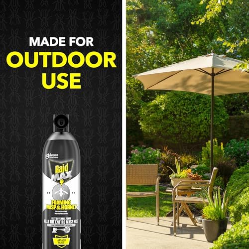 Raid MAX Foaming Wasp & Hornet Killer Bug Spray, 16.5 oz
