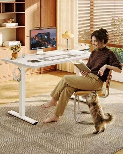FLEXISPOT EN1 48"x24" One-Piece Standing Desk, White