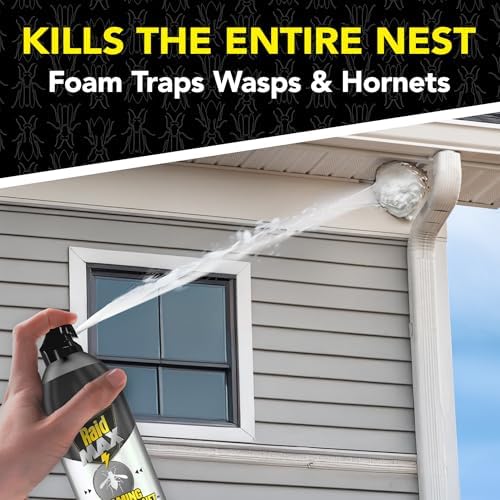 Raid MAX Foaming Wasp & Hornet Killer Bug Spray, 16.5 oz