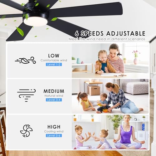 Asyko 46"Black 6-Blade Modern Low Profile Ceiling Fan with Light and Remote