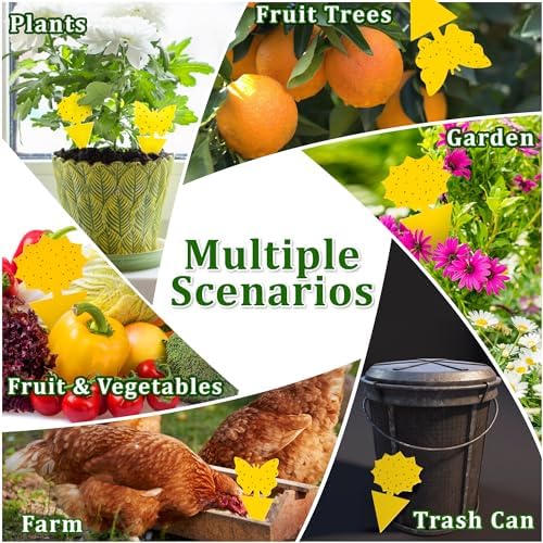Fruit Fly Traps Indoor Fungus Gnat Trap 48PCS for Plants Yellow Outdoor