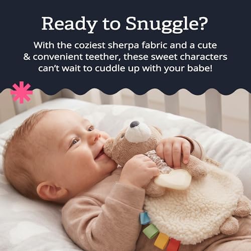 Itzy Ritzy Lovey Including Teether, Teething Relief, 0 Months & Up (Bear)