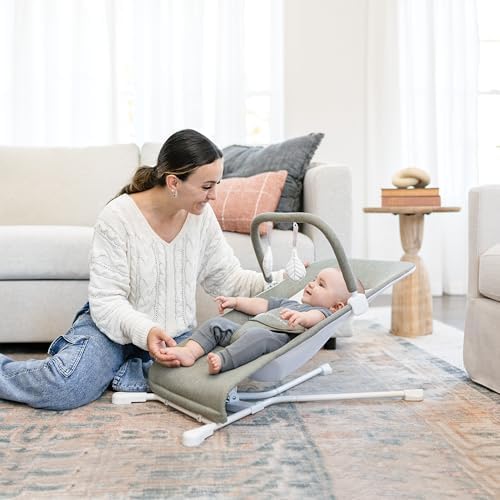 Baby Delight Highland Baby Bouncer, Sage Tweed