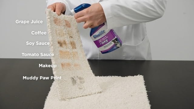 Bissell Woolite® Advantage Pet Stain & Odor Remover + Oxy, 2-Pack, 3326