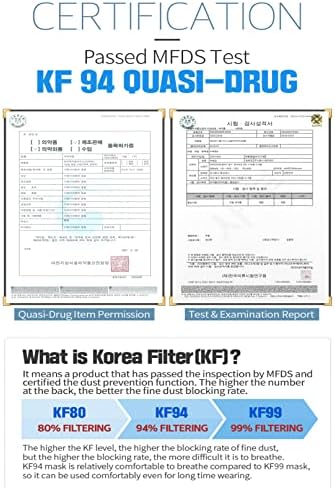 HAPPYDAY , 25 Packs, Made in KOREA Premium KF94 Micro Dust Protection Individually Packaged Black Face Mask Large