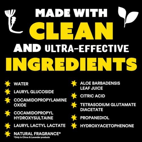 Molly's Suds Liquid Dish Soap | Clean, Simple Ingredients | Extra Scrubbing Power | Citrus Scent, 24 oz - 2 Pack