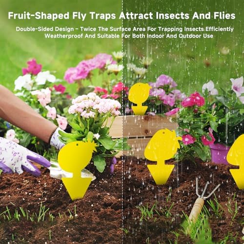 Fruit Fly & Fungus Gnat Traps, Yellow Sticky Traps, 40 Pack