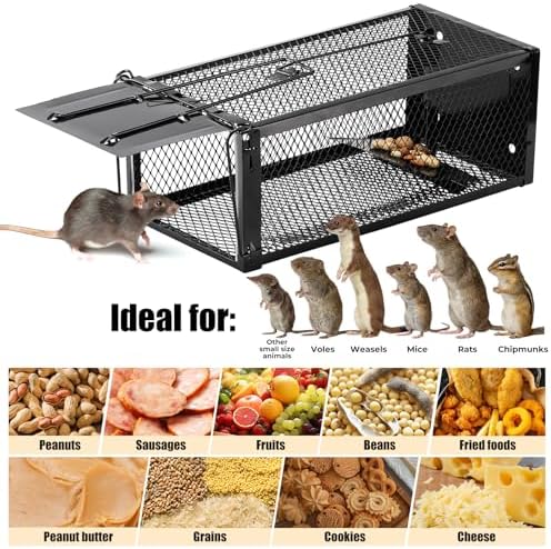2 Pack Humane Rat Traps 12.5"x5.5"x4.5", Reusable Mouse Traps for Indoor/Outdoor Use, No-Kill Live Capture for Chipmunks, Rats, Mice